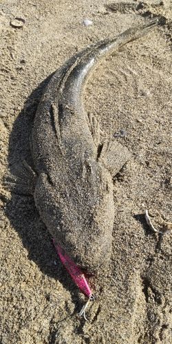 海浜公園
