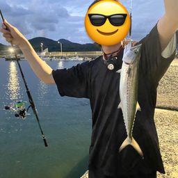 サゴシ