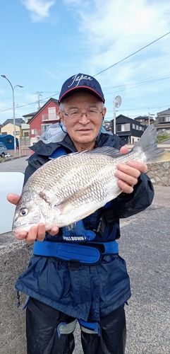 キビレの釣果
