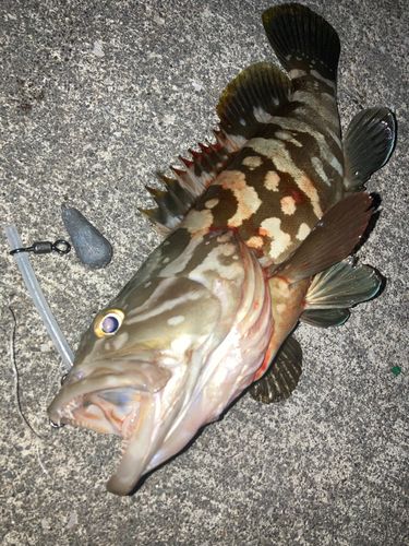 あしずり港