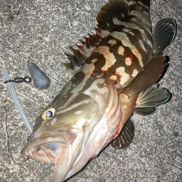 クエ