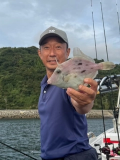 カワハギの釣果