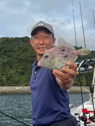 カワハギの釣果