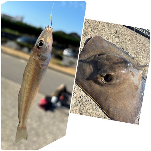 うみかぜ公園