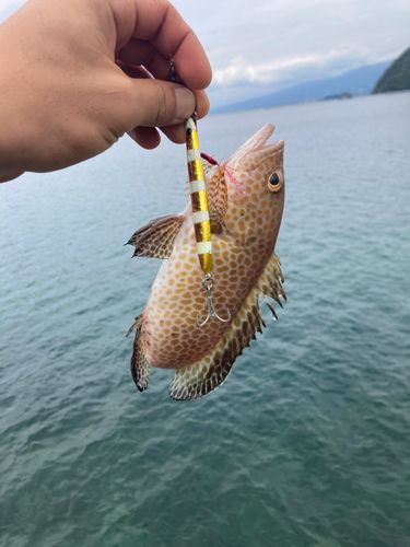 内浦湾（沼津）