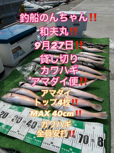 シロアマダイの釣果
