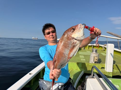 マダイの釣果