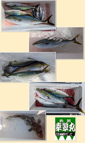 紀の川河口
