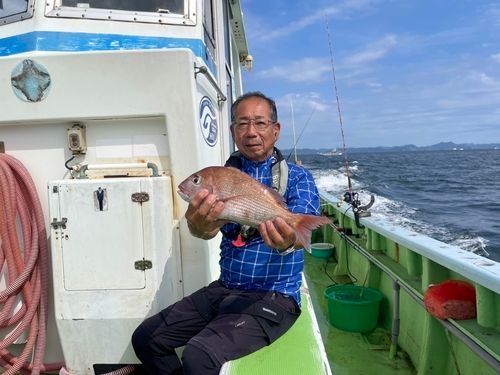 マダイの釣果