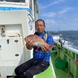 マダイ