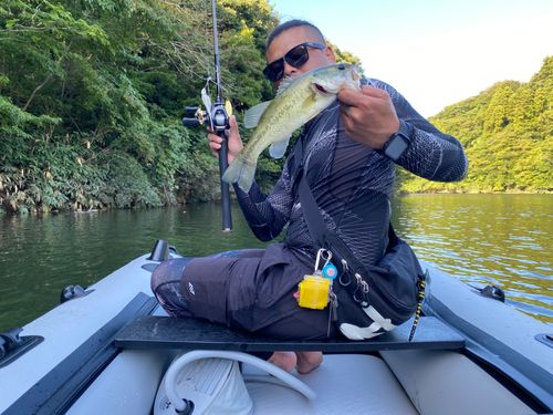 ラージマウスバスの釣果