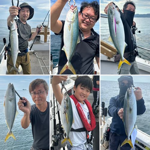 ハマチの釣果