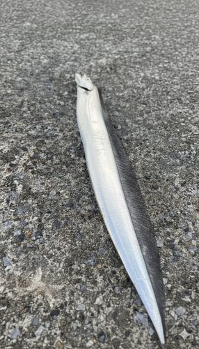うみかぜ公園