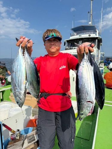 カツオの釣果