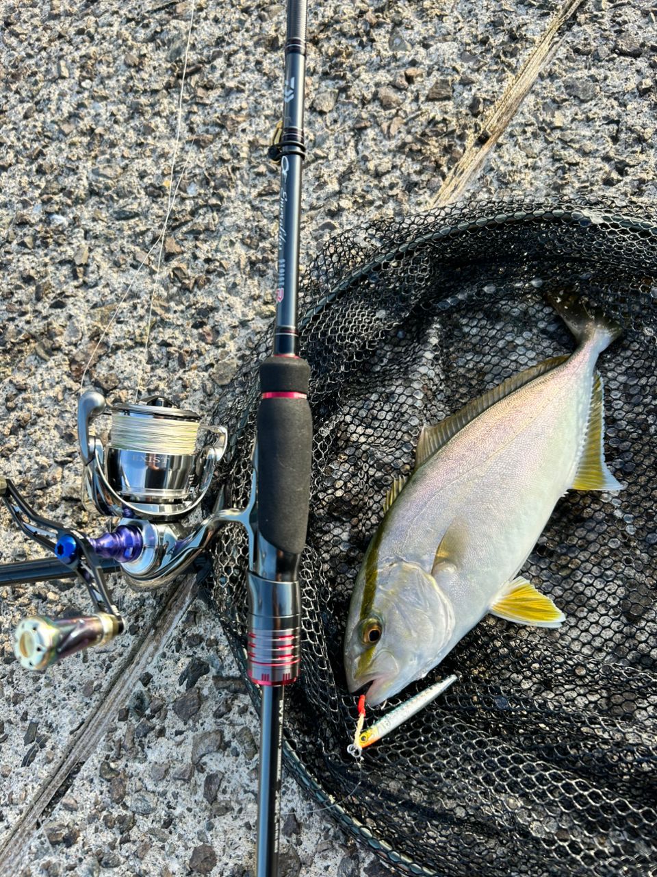 DAIWA 21エメラルダス ストイスト RT 84Mの最安値・インプレ