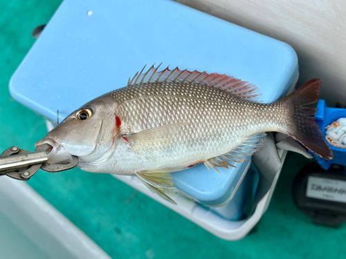 海外