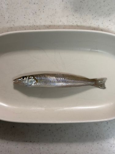 茅ヶ崎ヘッドランド