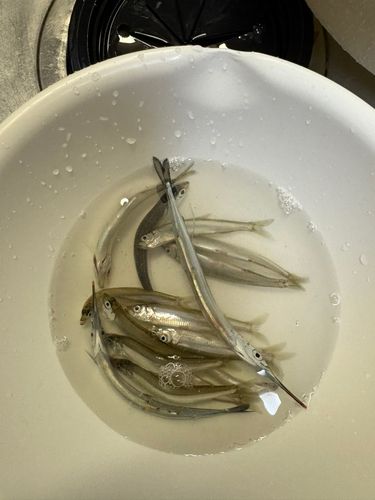 古潭漁港