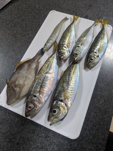 小名浜港市場前