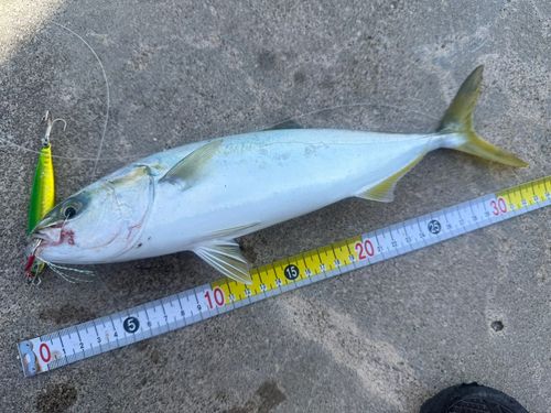 魚津漁港