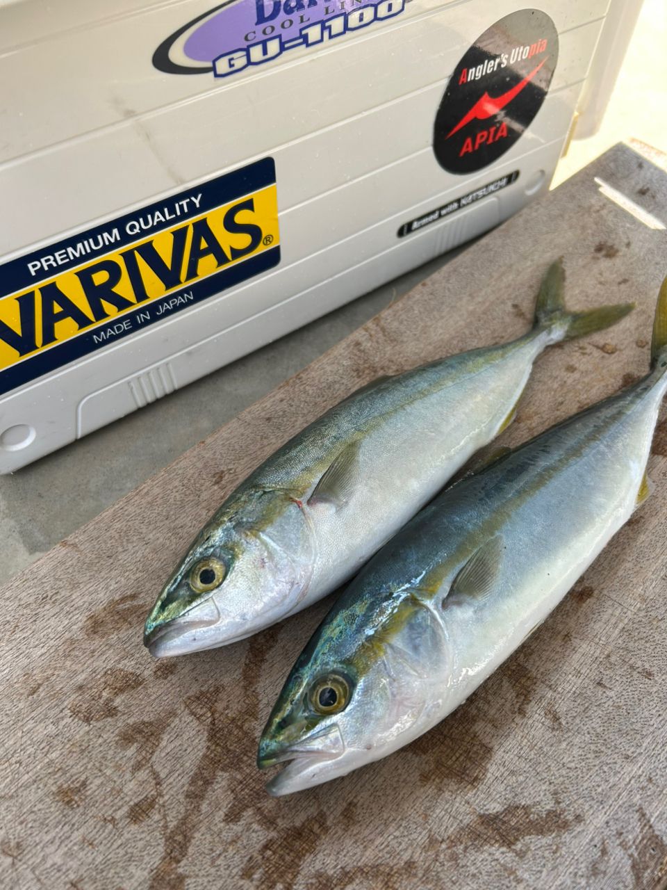 DAIWA 22オーバーゼア 106MHHの最安値・インプレ・釣果 | 本音の