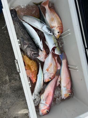 有磯海