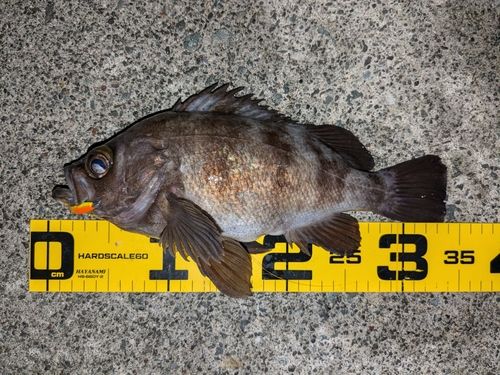 小名浜港アクアマリンふくしま周辺