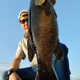 スモールマウスバス