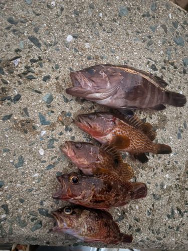 博多湾