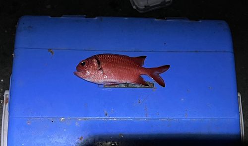 熱海港海釣り施設
