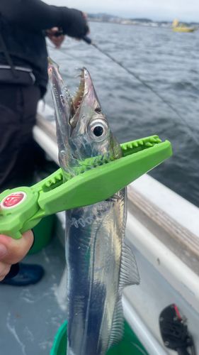 三浦半島