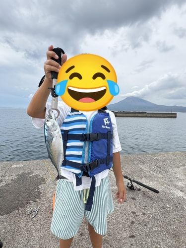 垂水港