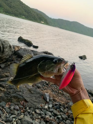 塩津湾