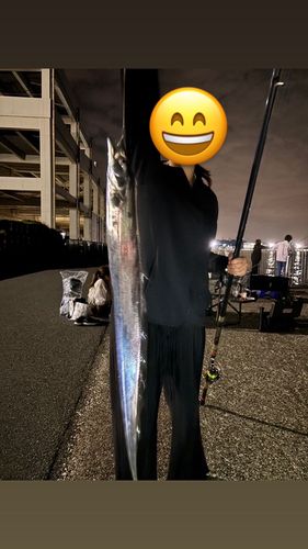 うみかぜ公園付近