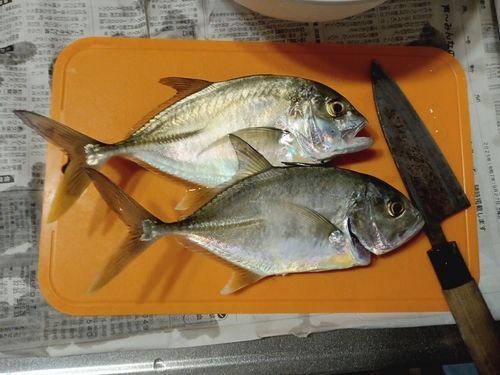 長崎湾