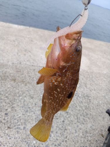 玄界灘