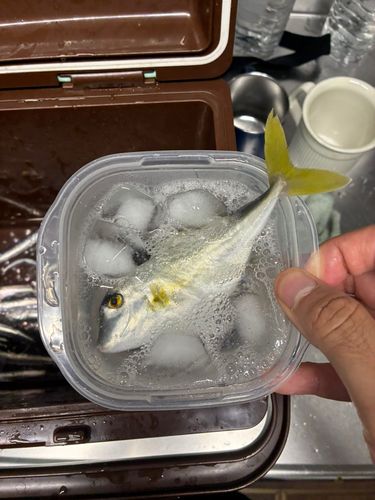 オリジナルメーカー海釣り公園