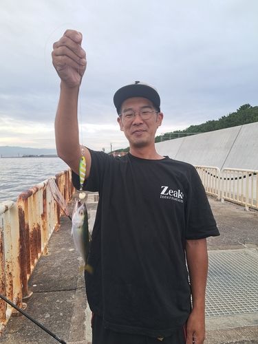 南港魚つり公園