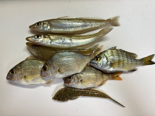 油戸漁港