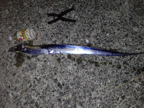 博多湾