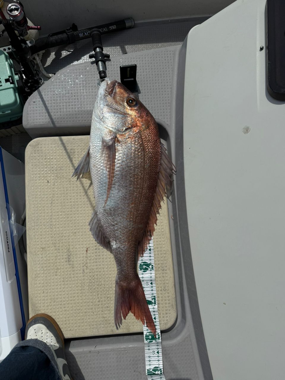 Kan0221さんの釣果 2枚目の画像