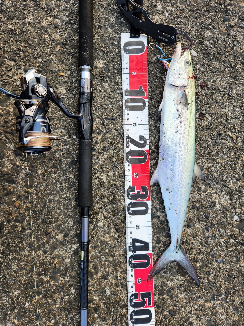 DAIWA 23ドラッガー X 100MLの最安値・インプレ・釣果 | 本音の口コミ