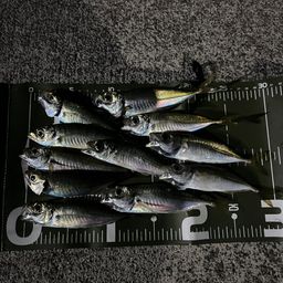 アジ