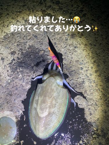 三津埠頭