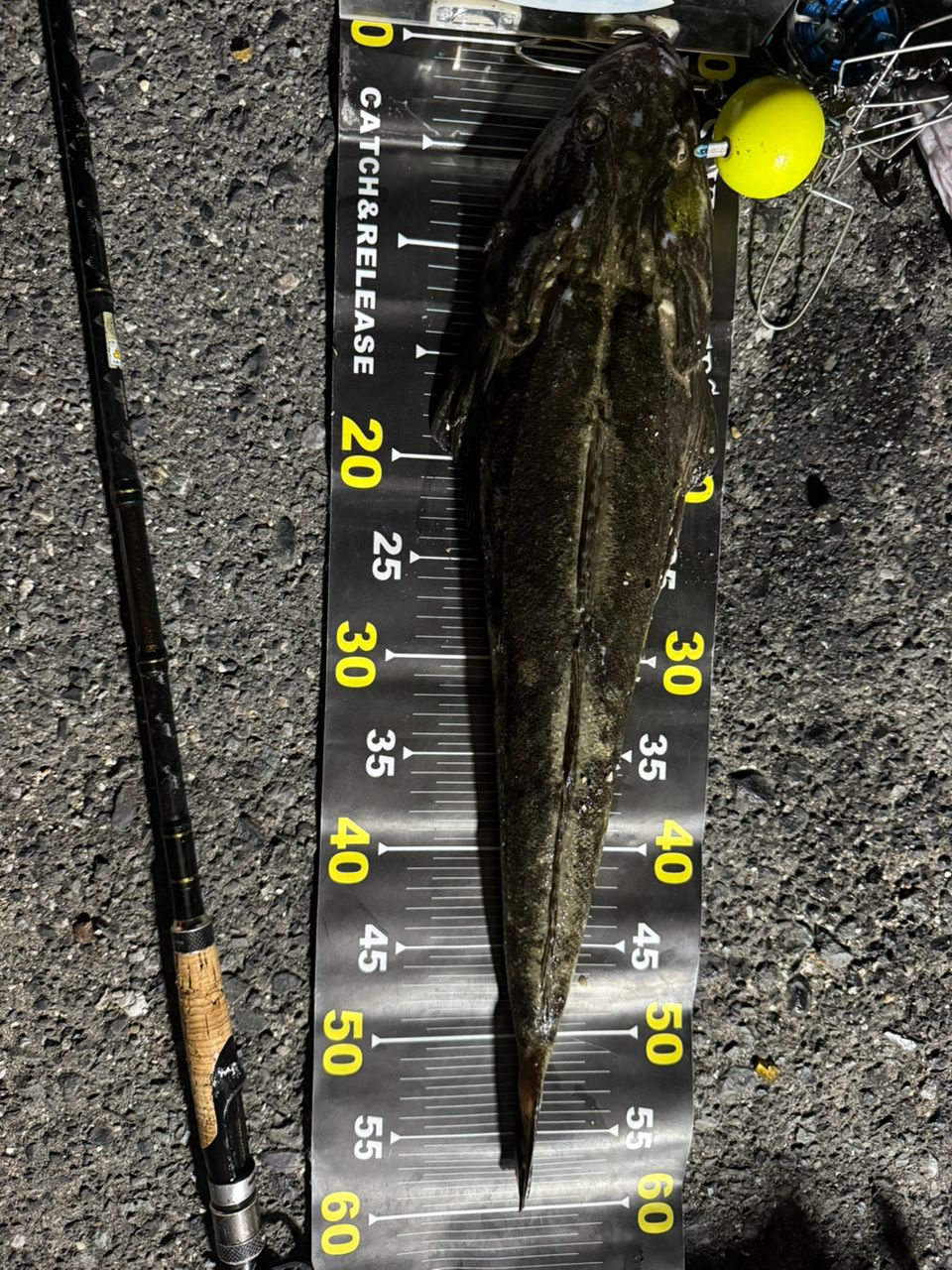 YAMAGA Blanks バリスティック TZ ナノ 96MMHの最安値・インプレ