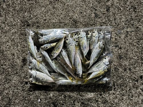 岩瀬漁港