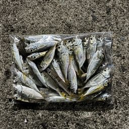 アジ