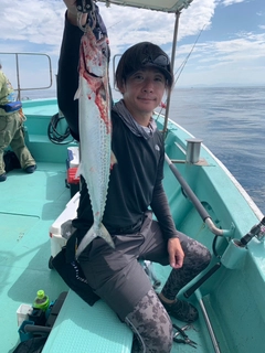 サゴシの釣果