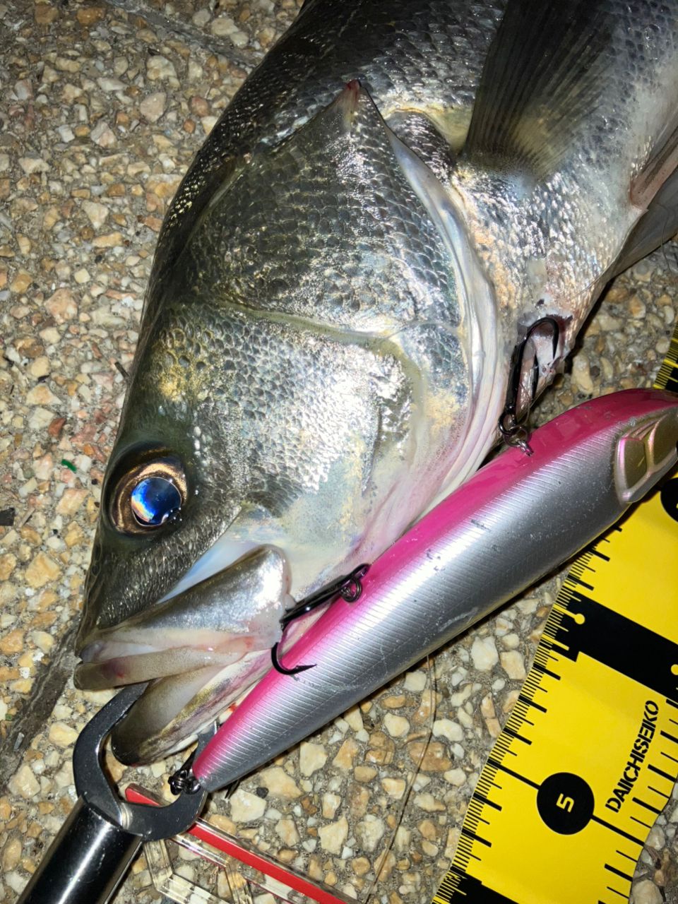 SHIMANO 18 ディアルーナ S96ML ディアルーナ[DIALUNA] | ショアシーバス | シーバス | ロッド