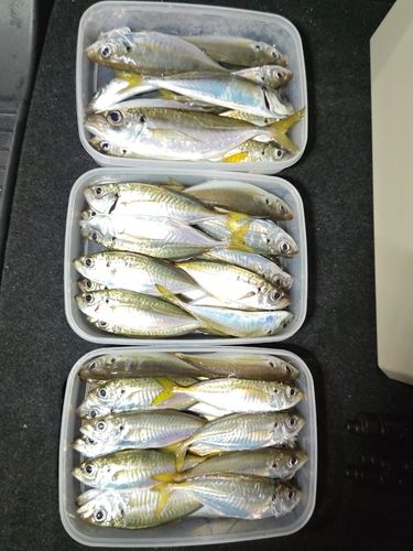 五ヶ所湾